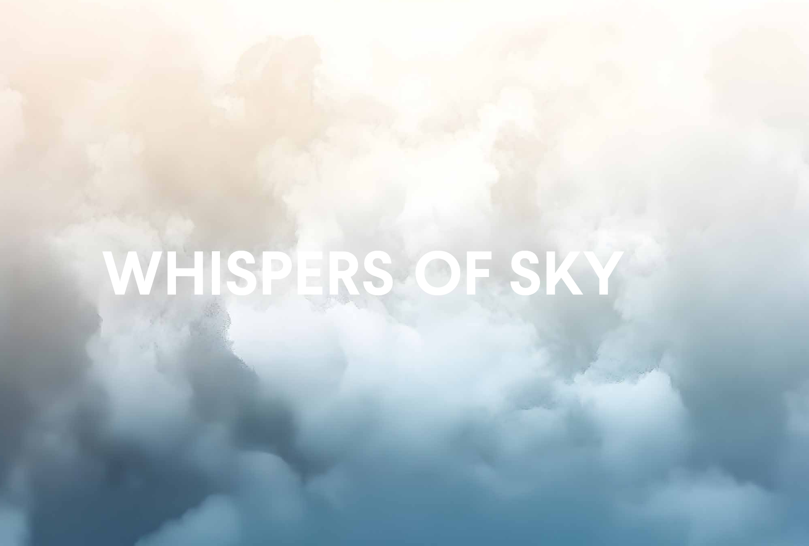 Whispers of Joy brochure page 2